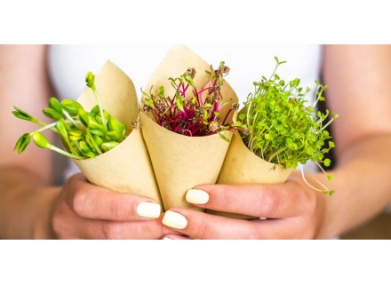  Are Seemingly-Fancy Microgreens Worth Adding to Your Meals?