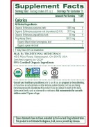 Traditional Medicinals Organic Echinacea Plus Tea (6 Pack)