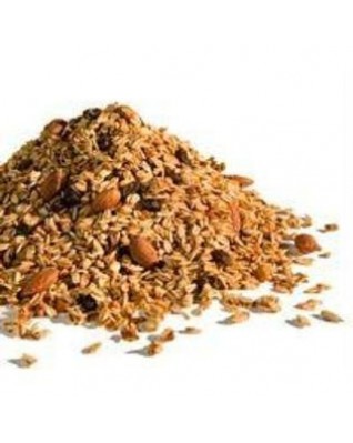 Golden Temple Natural Maple Pecan Dream Granola (1 Pack) Golden Temple Natural Maple Pecan Dream Granola (1 Pack)