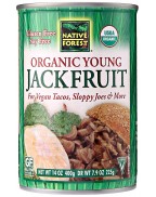 Native Forest Young Jackfruit (6 Pack)